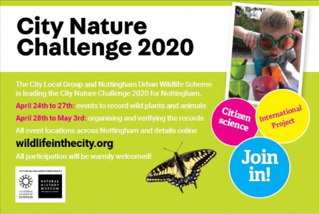 City Nature Challenge advert 2020