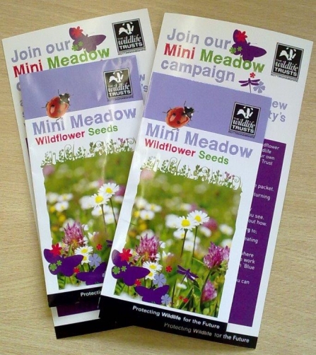 Mini Meadow campaign wildflower seed packets