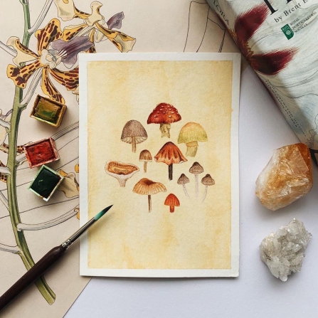 Mushrooms postcard show entry by @jannahart