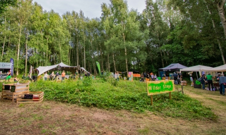 Wilder Woodland Gathering stage