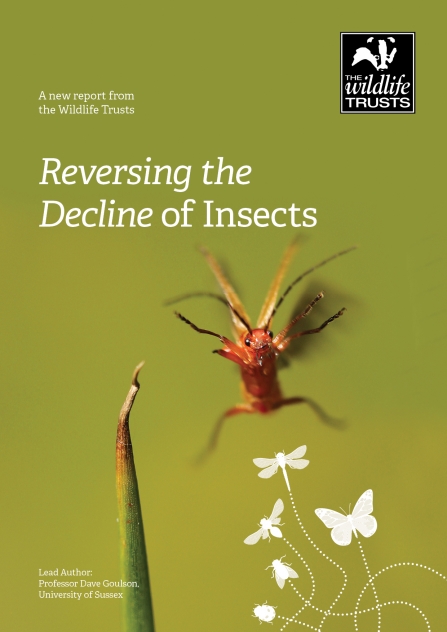 Reversing the Decline of Insects report cover July 2020