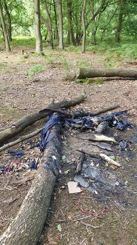 fire at Strawberry Hill Heath
