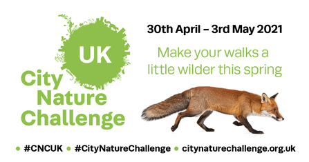 City Nature Challenge Logo