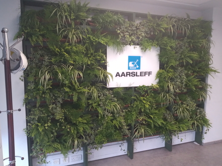 Green wall at centrum pile