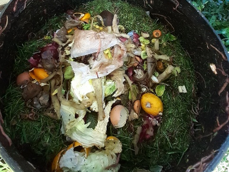 Compost bin