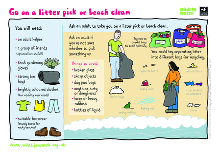 Litter pick wildlife watch activity sheet