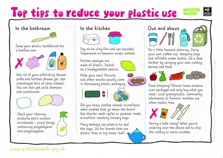 Reducing plastic use wildlife watch activity sheet