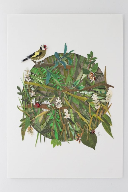 Postcard Show Art, birds and greenery