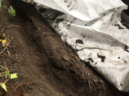 Digging a trench to help shape the pond