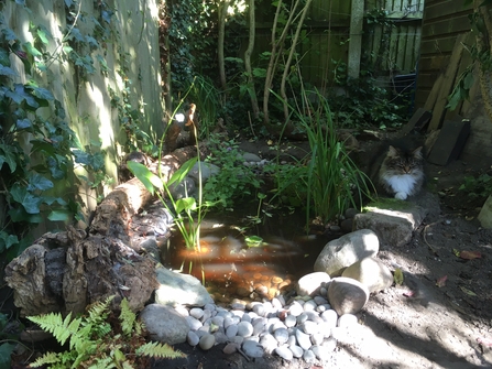 Shepherd Family pond completed