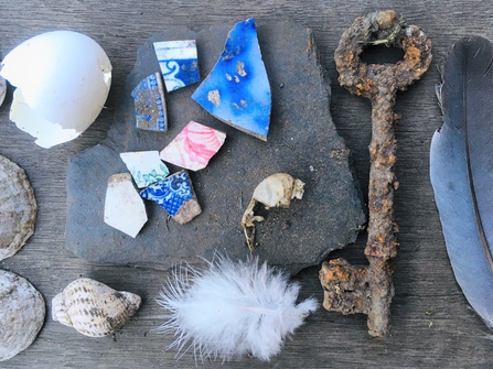 Various curiosities found around the Shepherds' pond, including bones, broken pottery and a rusty key