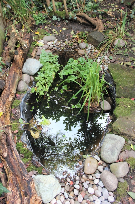 A top-down view of the finished pond