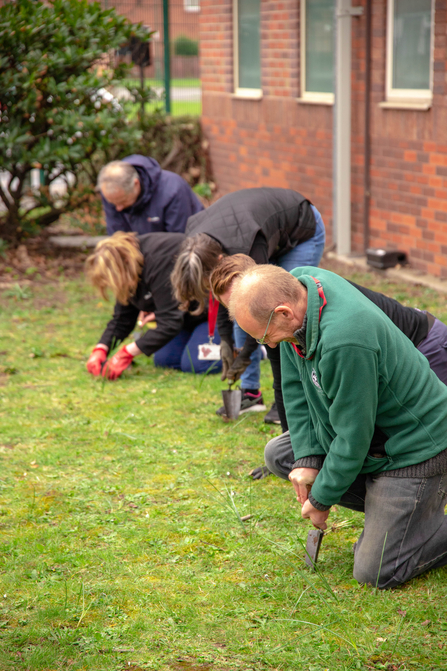 Albumedix staff planting the Nottingham Crocus on Crocus Street site