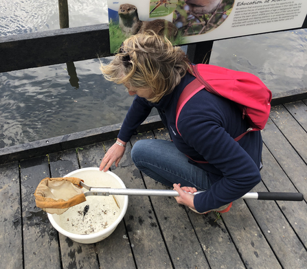 A capital One Team Member reviewing the range of creatures netted from the new platform