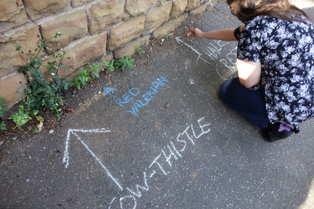 Local residents marking up wildflowers on city streets credit - Wild NG