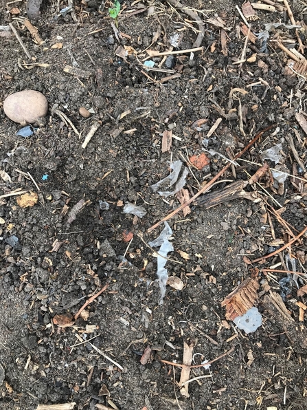 Soil at Whitemoor Allotment being degraded by plastic