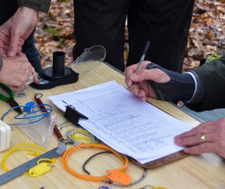 Treswell bird ringing noting data 