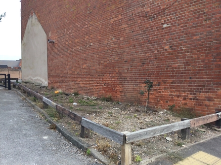 Basford Road Baptist Church garden