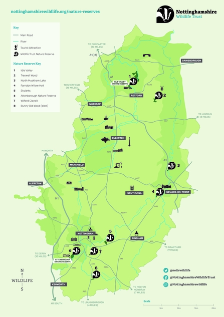 Memory leaf map