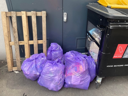 Litter pick at Burrow's Court