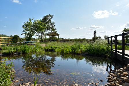 new pond with bridge