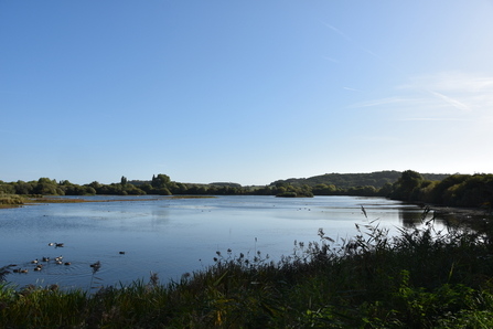 View of lake at Attenborough Nature Reserve