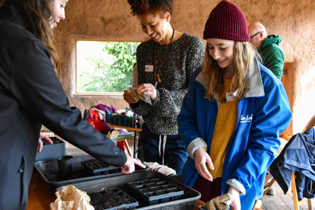 Group of women planting seeds in seed trays indoors