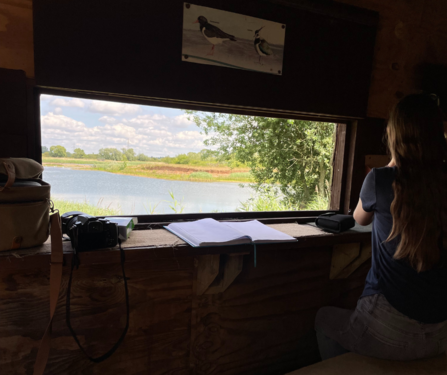 Woman in a bird hide