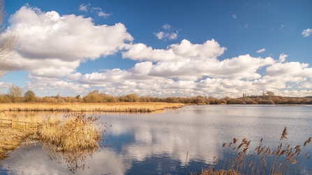 Attenborough Nature Reserve