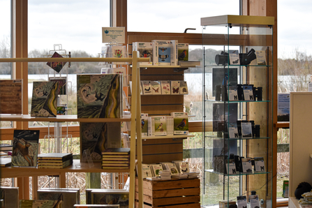 Shelves with books and optics in a shop