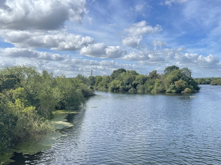 Lake at Attenborough Nature Reserve