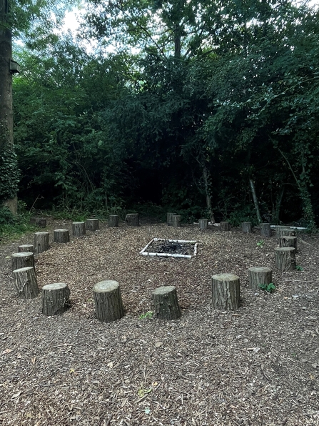 Education wood