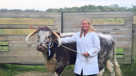 Agnes Kiemel with Longhorn at Collingham Show 2023