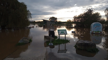 Flooding at Attenborough Nature Reserve