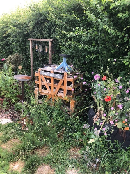 A bug hotel and homemade bird feeding station