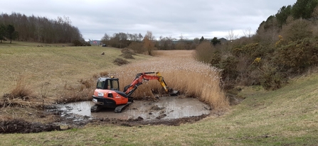 Boundary Wood Before Miner2Major Work