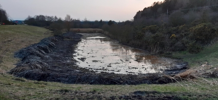 Boundary Wood After Miner2Major Work