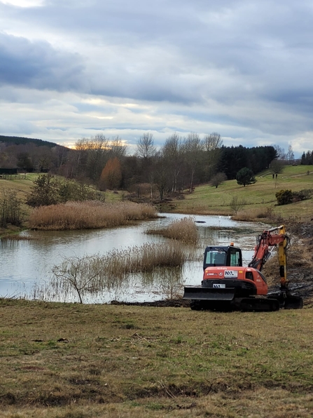 Ollerton Wood After Miner2Major Work