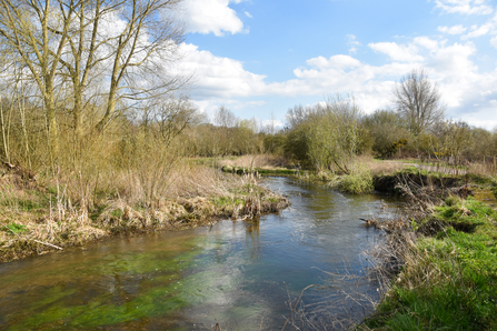 River Ryton