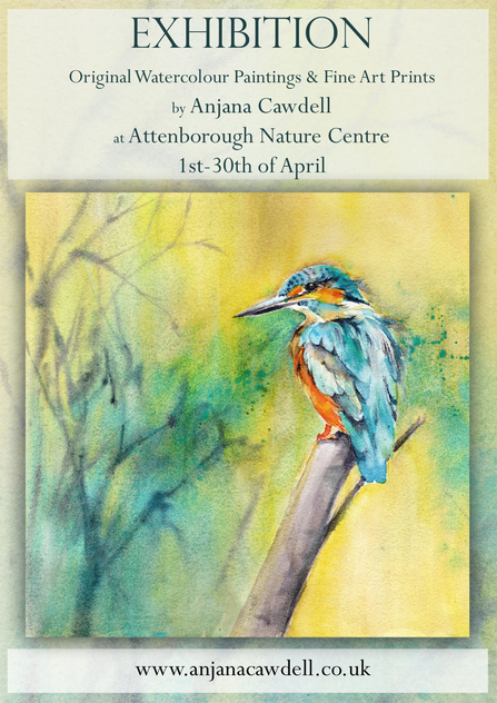 Exhibition - Original Watercolour Paintings & Fine Art Prints by Anjana Cawdell at Attenborough Nature Centre, 1st-30th of April