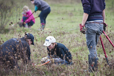volunteers