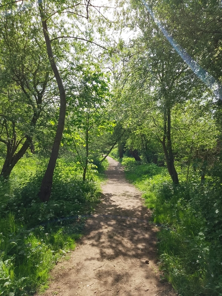 Farndon nature reserve