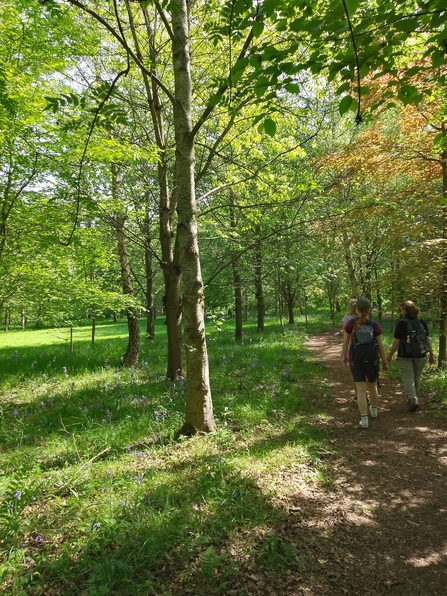 walking through memorial woods