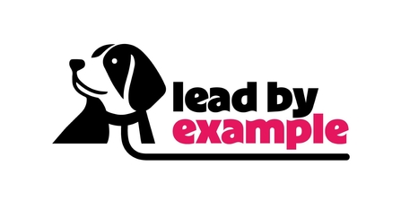 lead by example logo