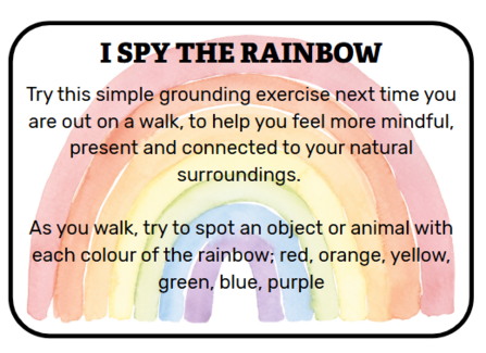 A grounding exercise, spotting something each colour of the rainbow