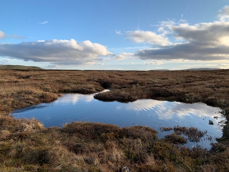 Fleet moss restoration by the Yorkshire Peat Partnership
