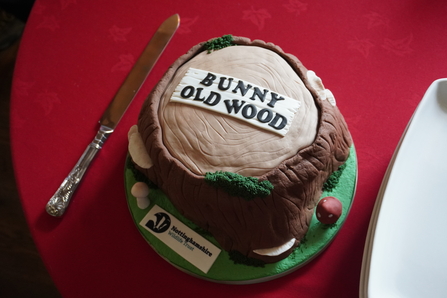 Cake fashioned like a tree stump with Bunny Old Wood written on top