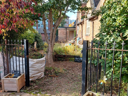 Garden through fence behind building