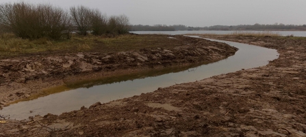 Ditches in wetland