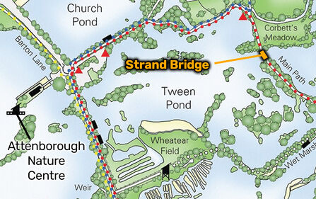 Map showing Strand Bridge at Attenborough Nature Reserve, just south of Corbett's Meadow